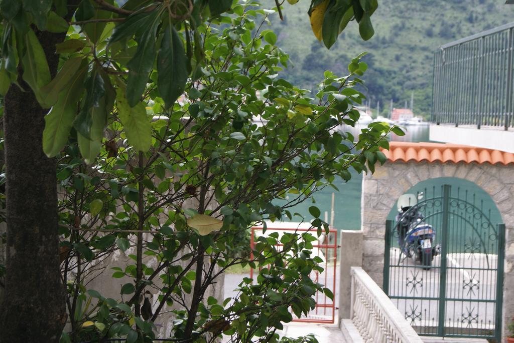 Apartment Kotor-Andrija Jovanovic Ruang foto